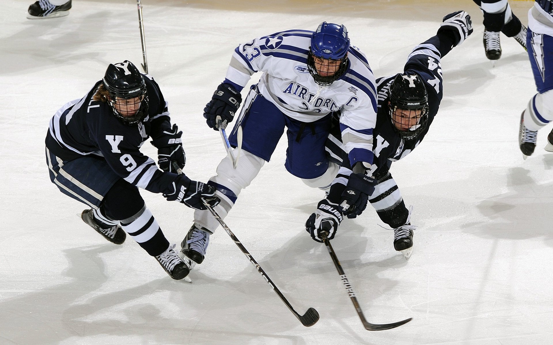 鸭脖-综合格斗赛场焦点！美国队对阵英格兰队，爆冷逆转，黑马强势击败劲敌